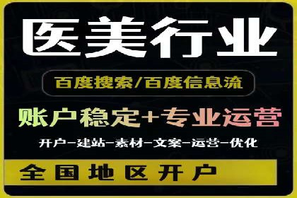 SEM竞价优化策略：成功案例解析