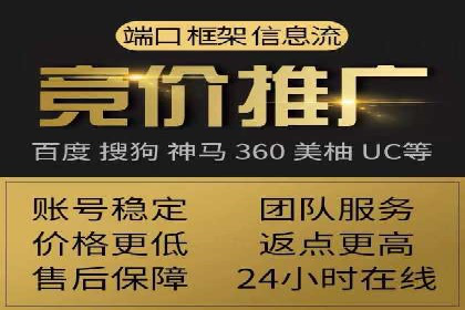 谷歌竞价广告的投放策略与成功案例分析